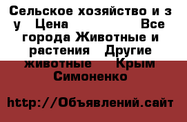 Сельское хозяйство и з/у › Цена ­ 2 500 000 - Все города Животные и растения » Другие животные   . Крым,Симоненко